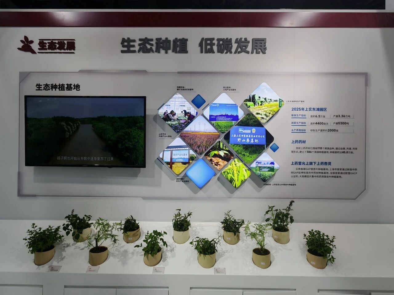 微信圖片_2025-11-30_174333_321.jpg